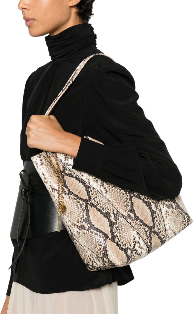 Chloé Bags Beige Beige