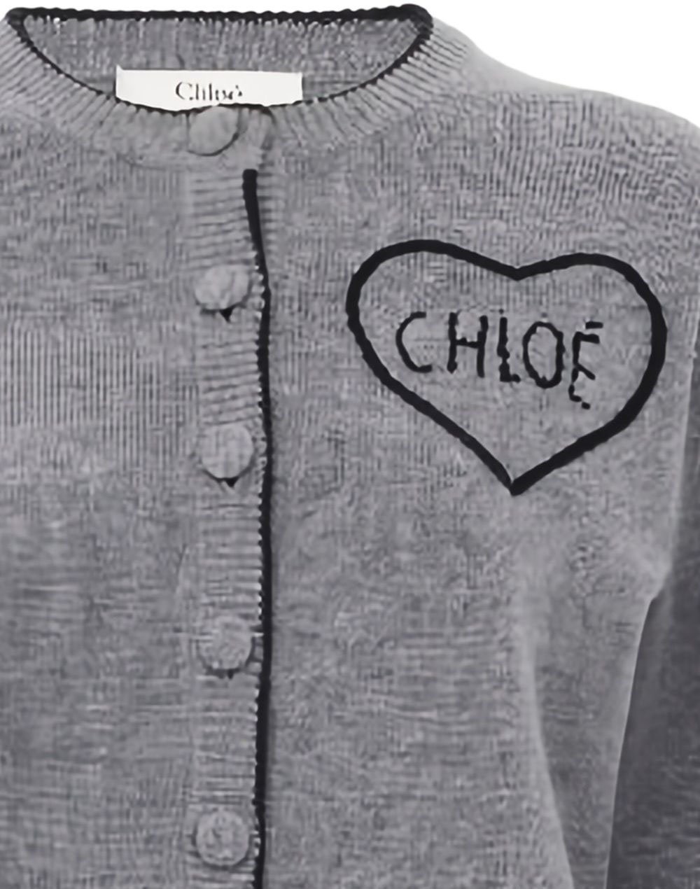 Chloé Sweaters Grey Grijs