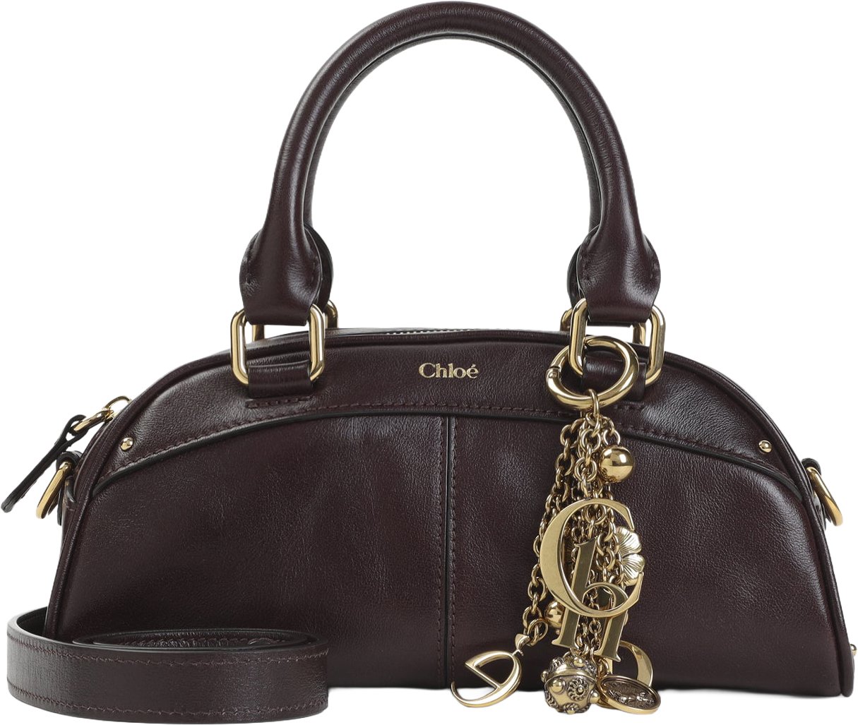 Chloé Chloe Handbag Divers