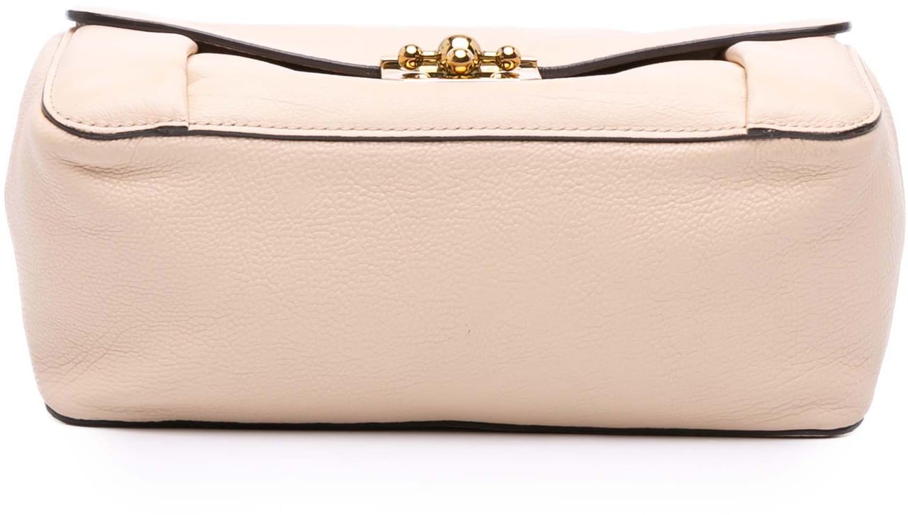 Chloé Medium Goatskin Elsie Crossbody Bruin