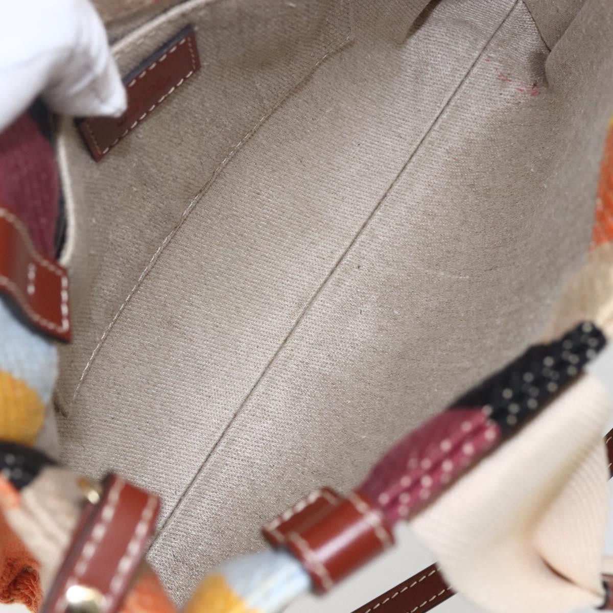 Chloé Chloe Woody Tote Striped Canvas with Leather Medium Divers