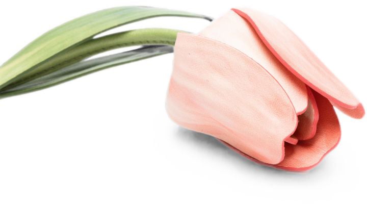 Christian Louboutin Accessories Pink Roze