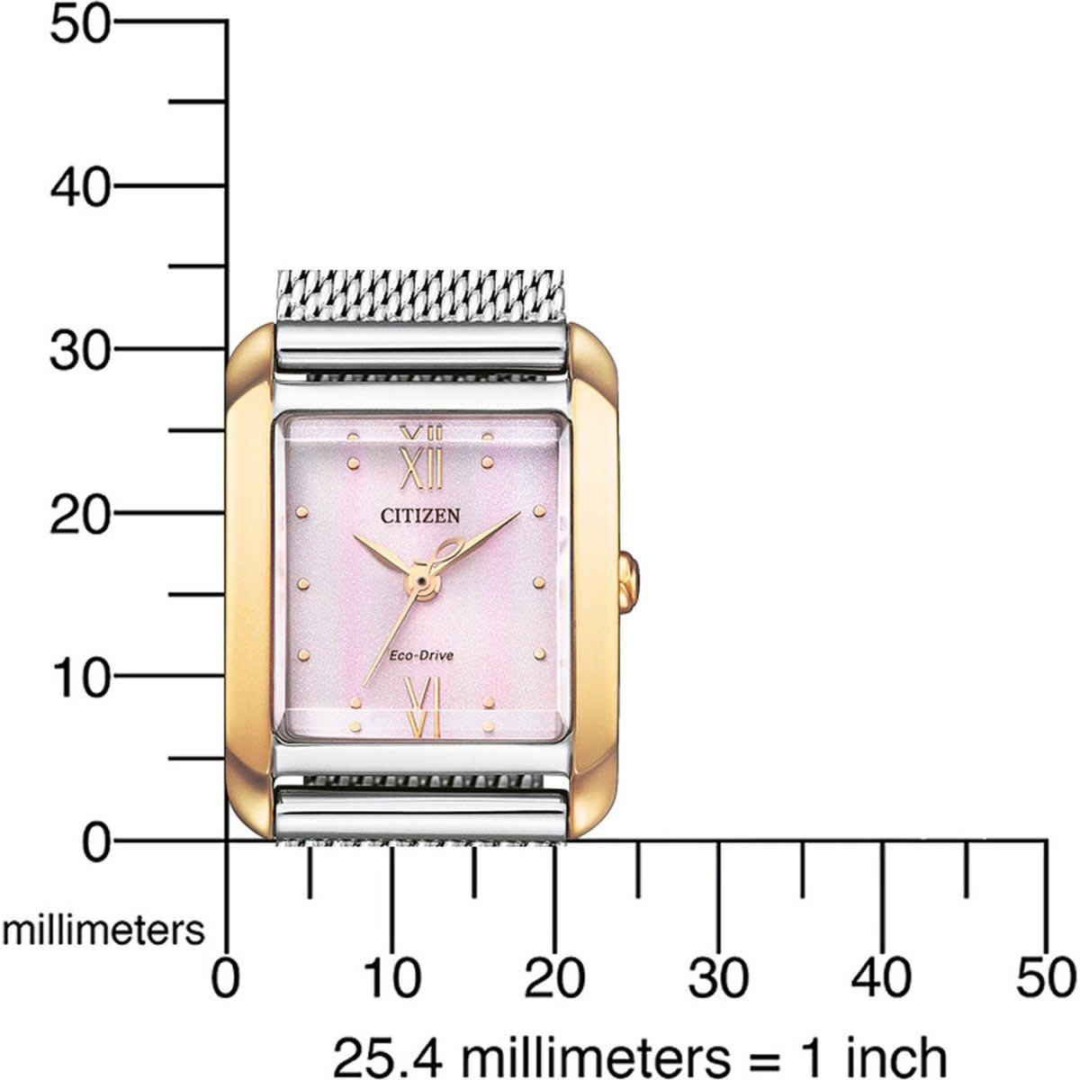 Citizen Citizen Horloge EW5596-66X Staal Bi-color Eco-drive met Roze Wijzerplaat en Extra Leren Horlogeband Divers