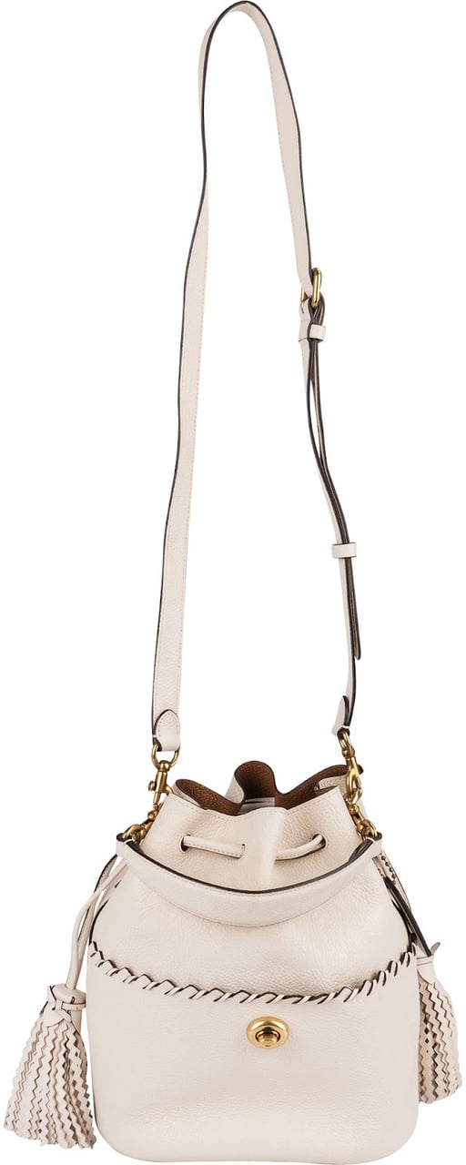 Coach Coach Pebbled Leather Dinky Bucket Crossbody Bag Divers