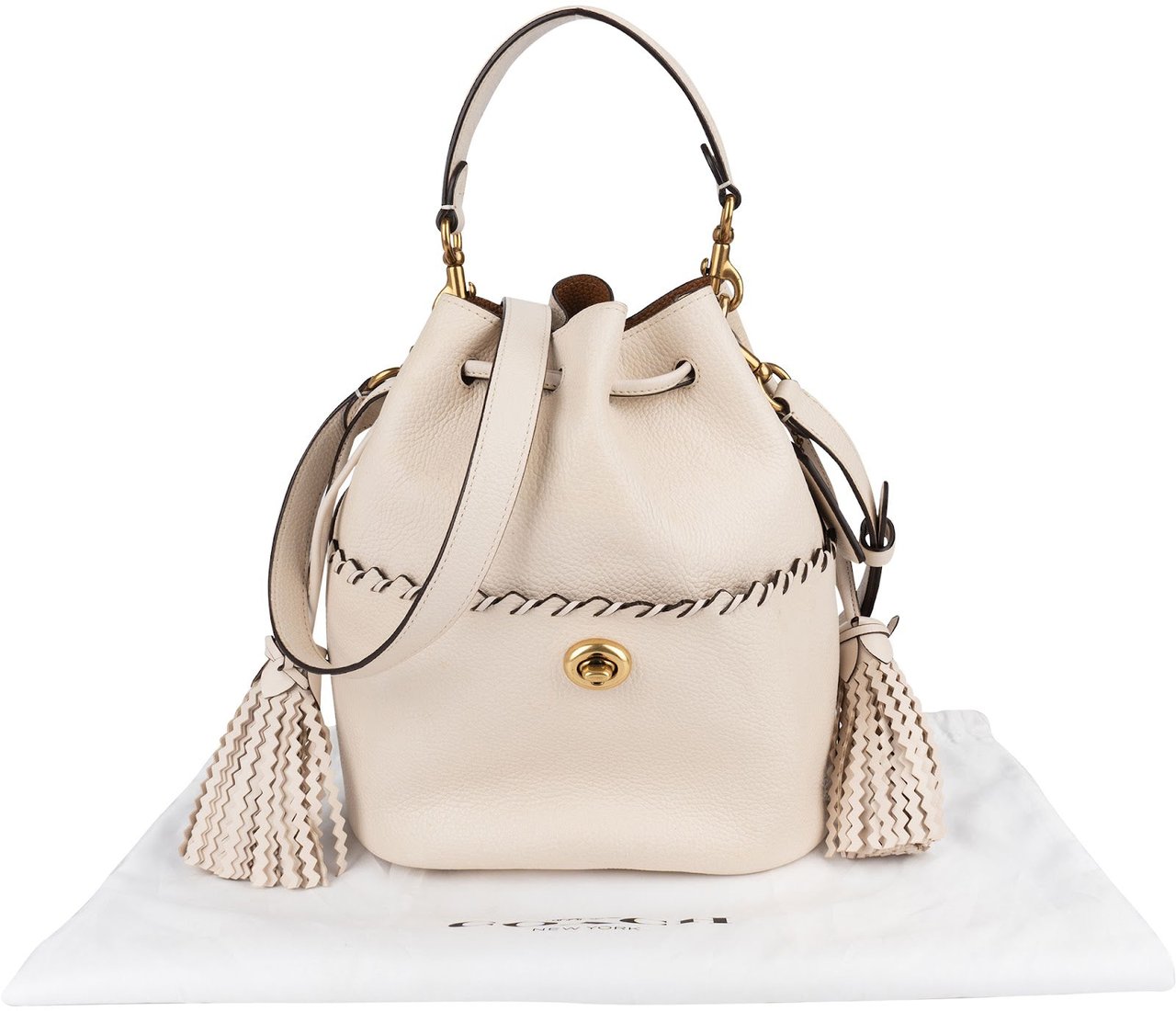 Coach Coach Pebbled Leather Dinky Bucket Crossbody Bag Divers