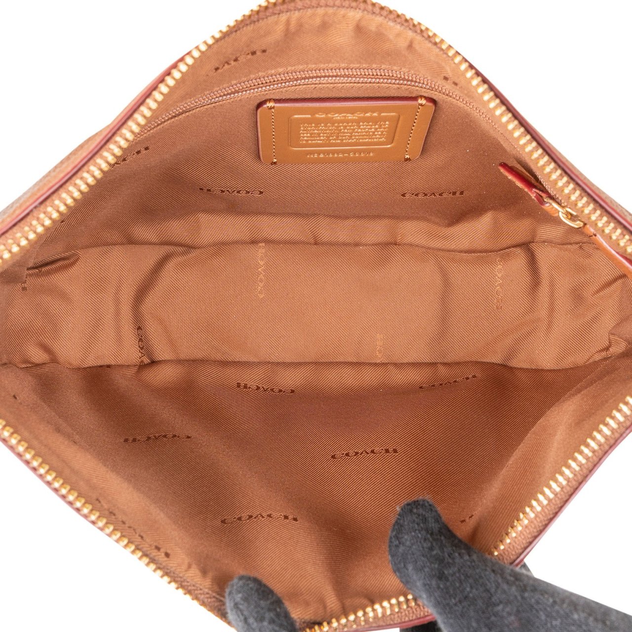 Coach Coach Pebbled Leather Cary Shoulder Crossbody Bag Bruin