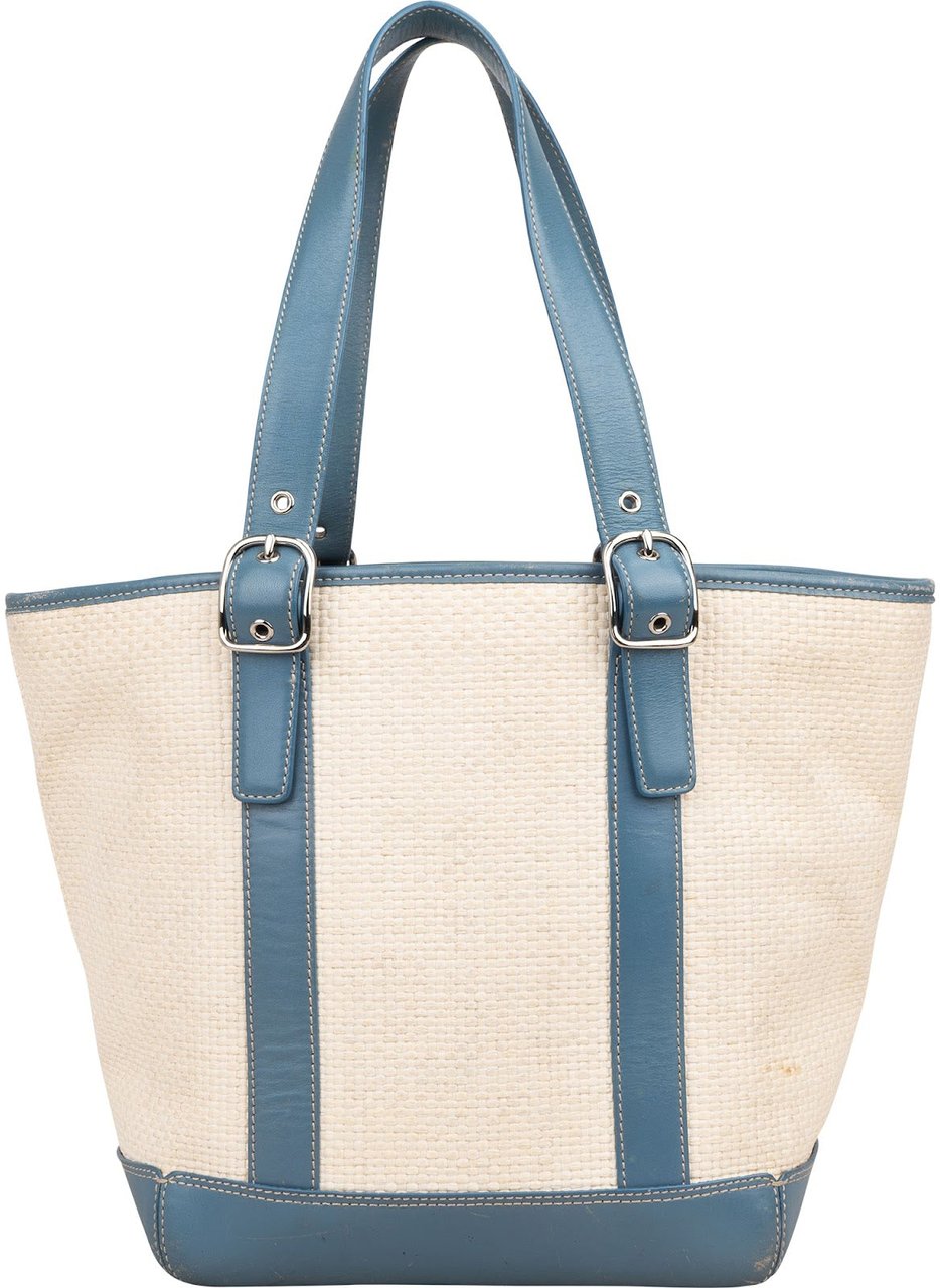 Coach Hamptons Weekend Straw Tote Handbag Blauw