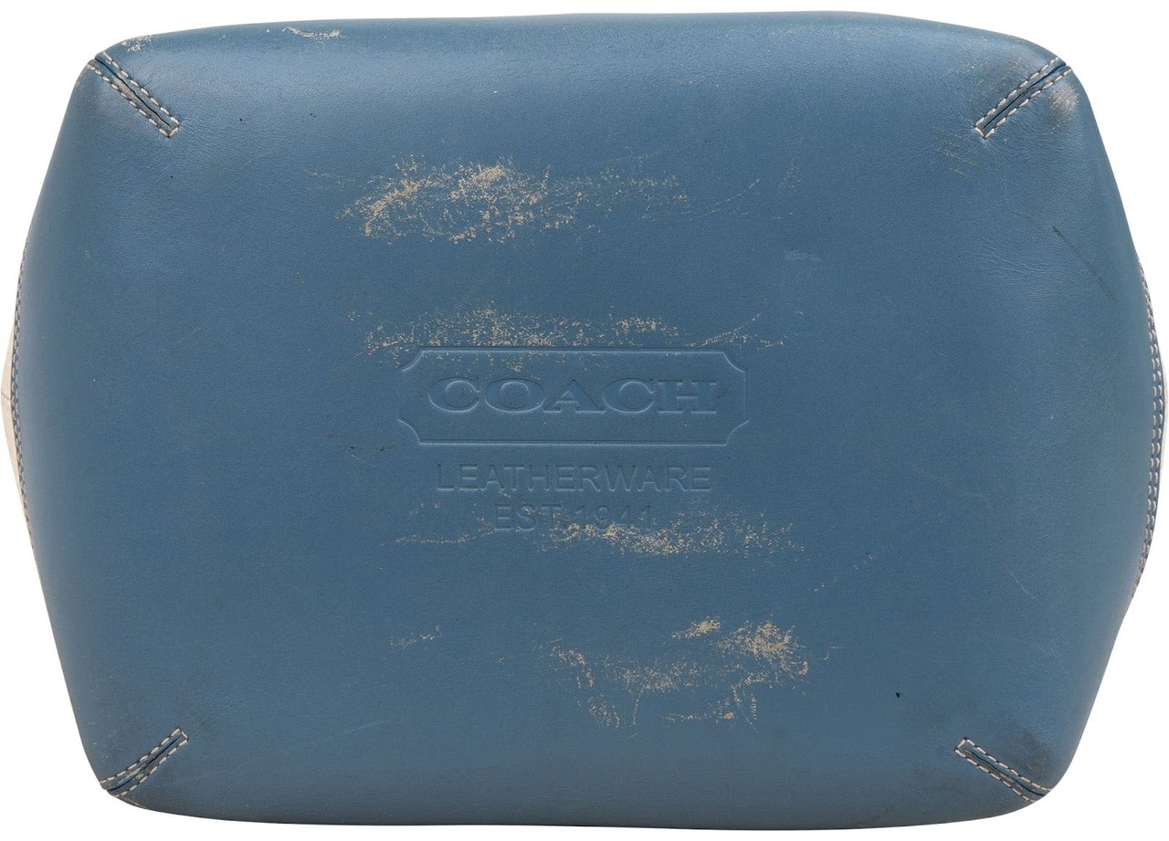 Coach Hamptons Weekend Straw Tote Handbag Blauw