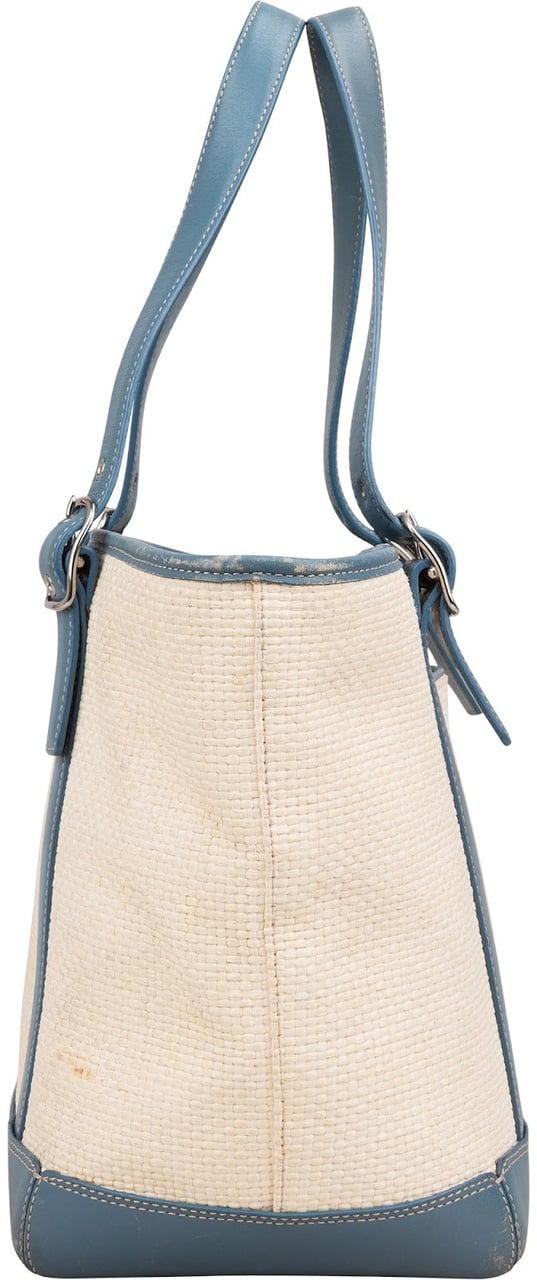 Coach Hamptons Weekend Straw Tote Handbag Blauw