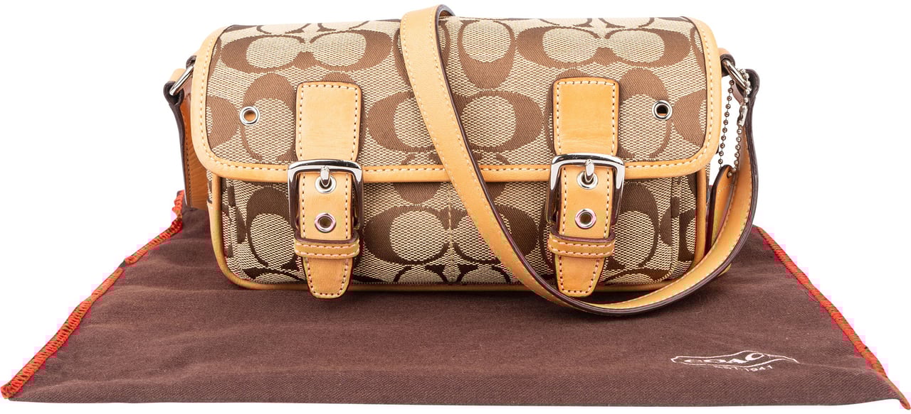 Coach Coach Monogram Pocket Mini Crossbody Bag Bruin