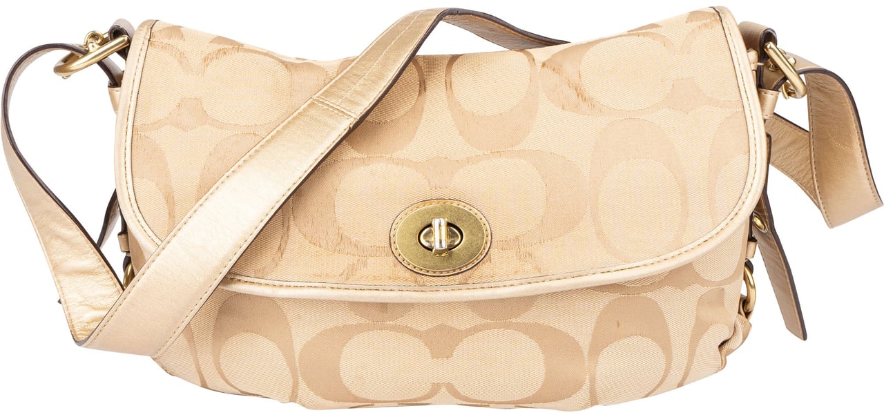 Coach Coach Monogram Clip Handbag Bruin