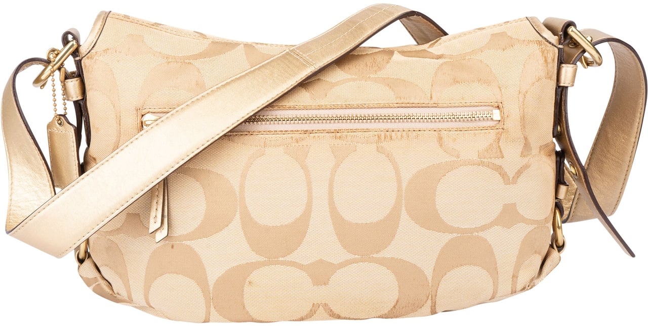 Coach Coach Monogram Clip Handbag Bruin