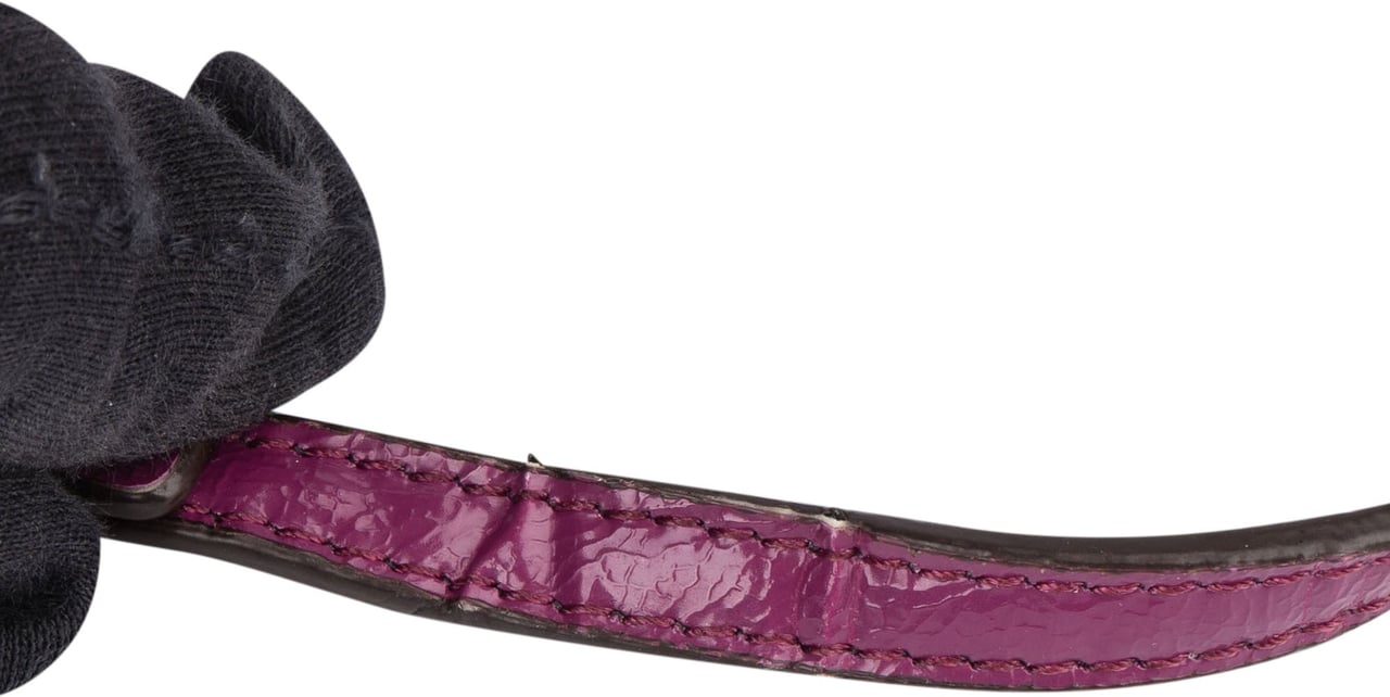 Coach Coach Monogram Mini Shoulder Bag Bruin