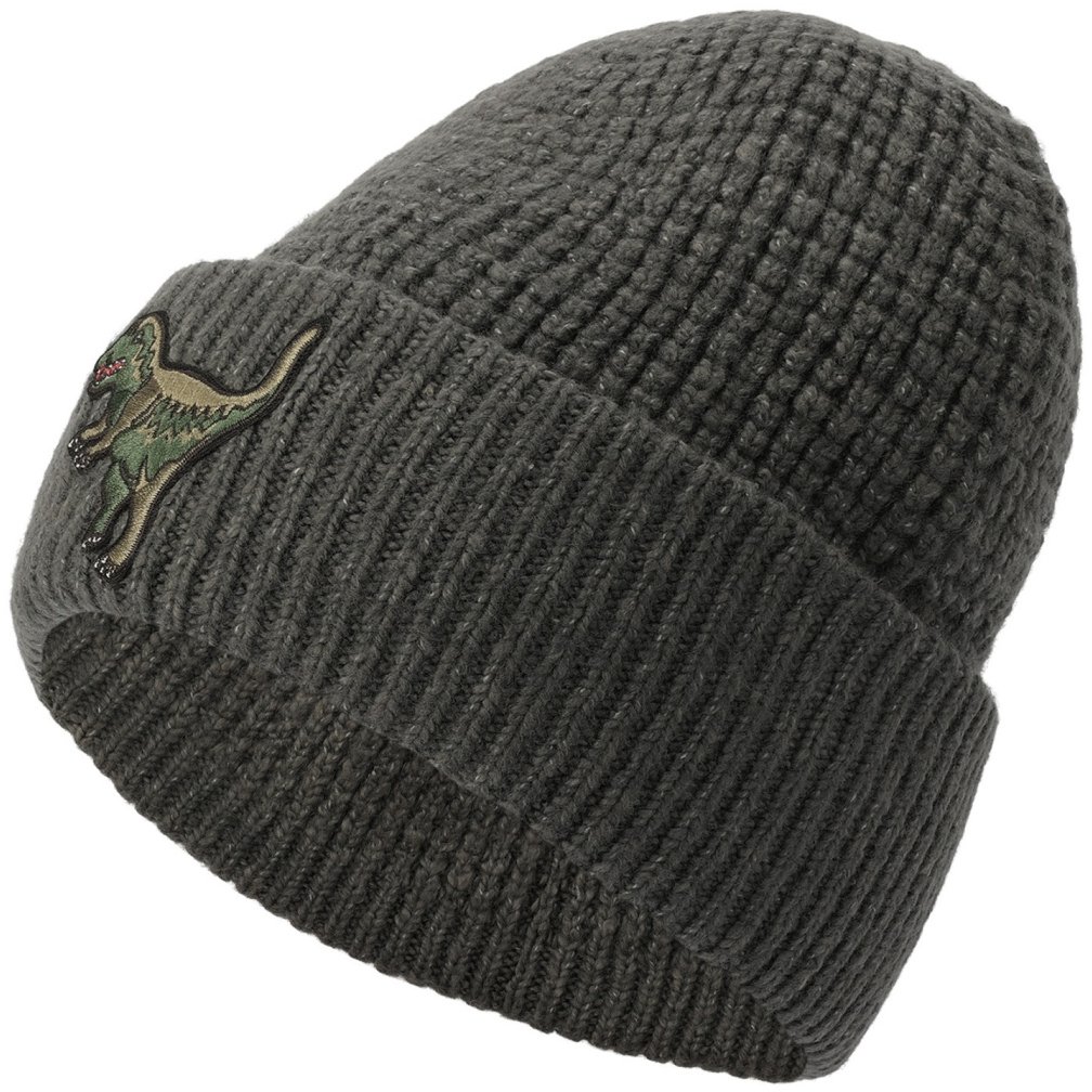 Coach Rexy Patch Thermal Beanie Grijs