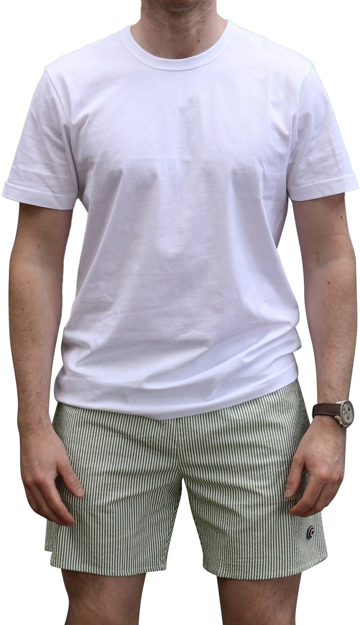 Colmar Originals Uomo Zwembroek Stripe Hill/Bianco Groen