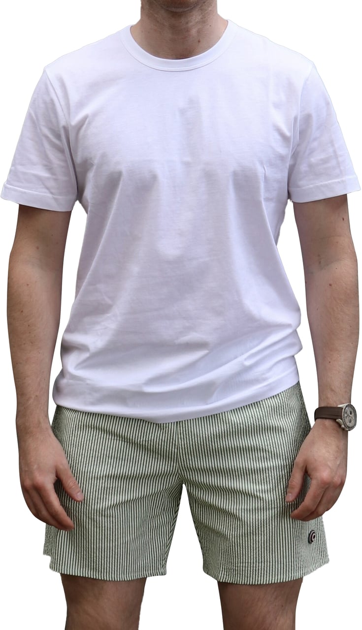 Colmar Originals Uomo Zwembroek Stripe Hill/Bianco Groen