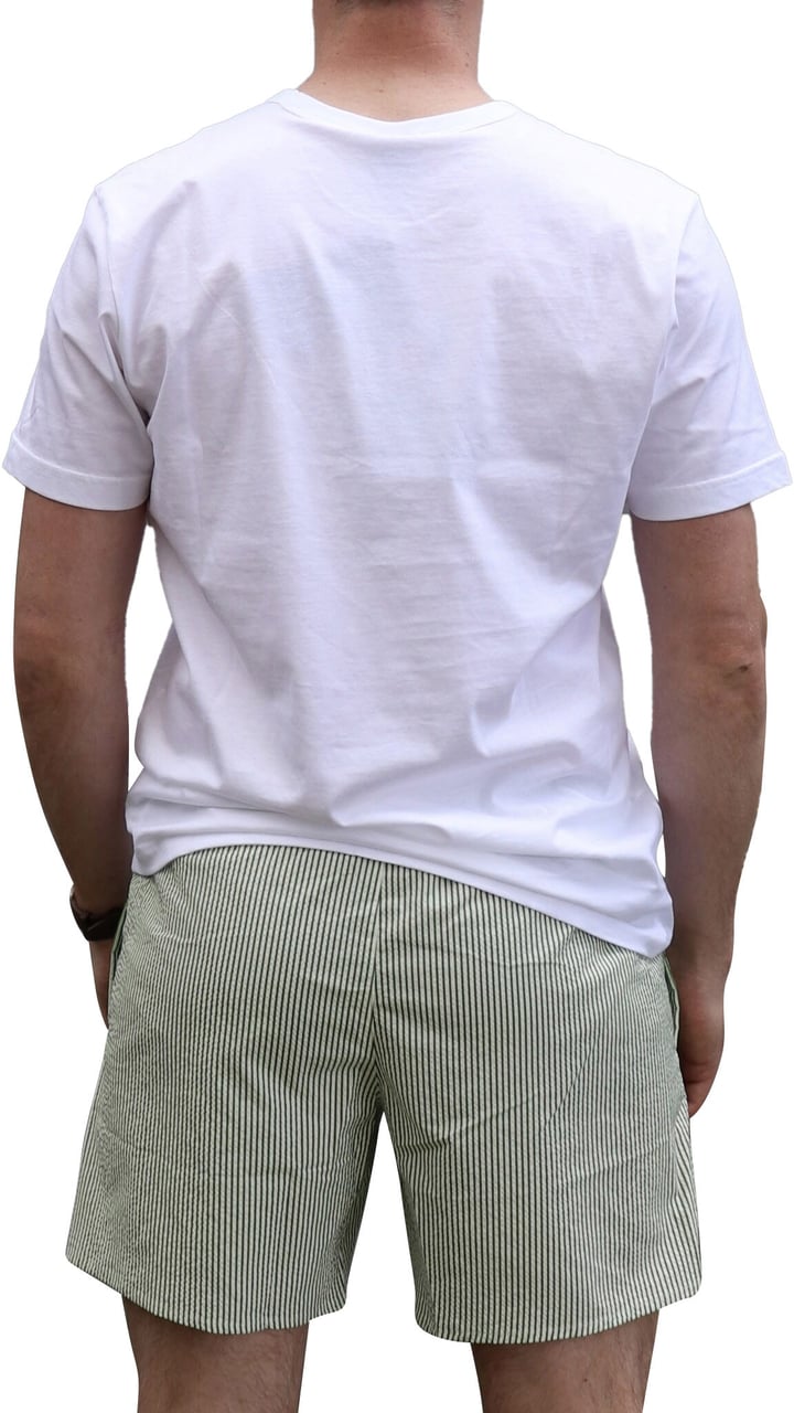 Colmar Originals Uomo Zwembroek Stripe Hill/Bianco Groen