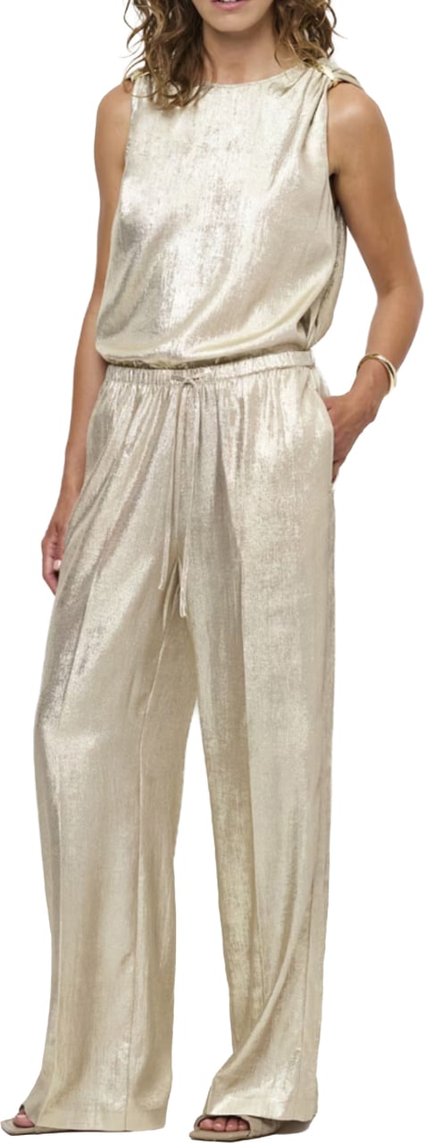 Dante6 Dante 6 Ido Metallic Effect Pants Pantalons Beige 261342 Beige