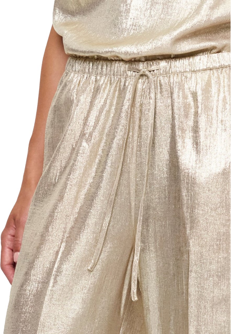 Dante6 Dante 6 Ido Metallic Effect Pants Pantalons Beige 261342 Beige