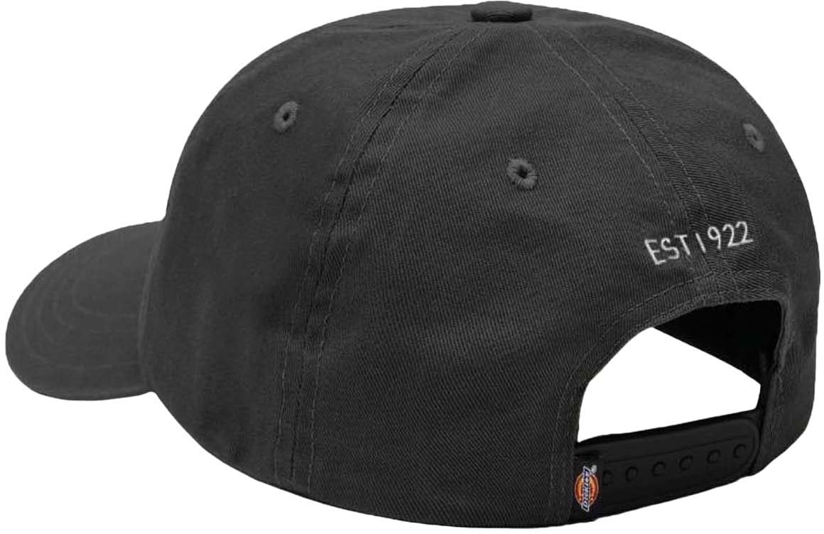 Dickies Dickies Hardwick 6-Panel Baseballpet Zwart Zwart