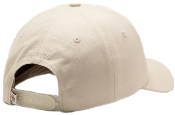 Dickies Dickies Hardwick 6-Panel Baseballpet Beige Beige