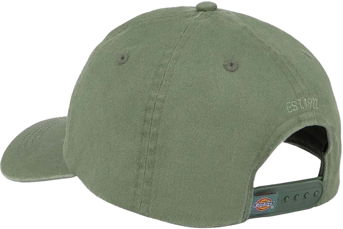 Dickies Dickies Hardwick 6-Panel Baseballpet Lichtgroen Groen