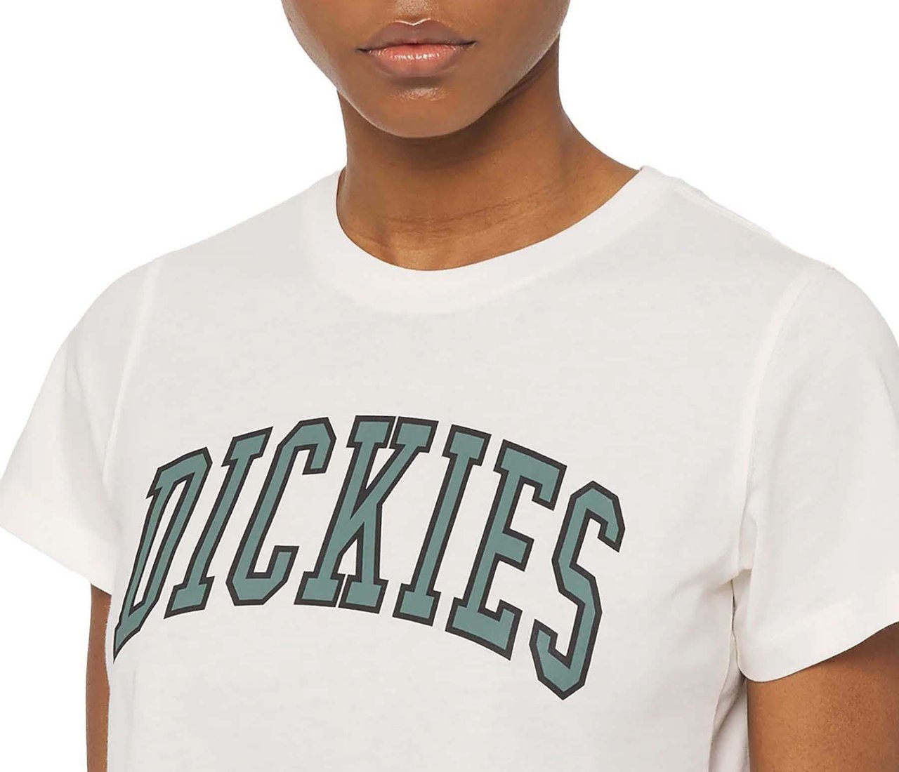 Dickies Dickies Aitkin Crop T-Shirt Dames Wit Wit