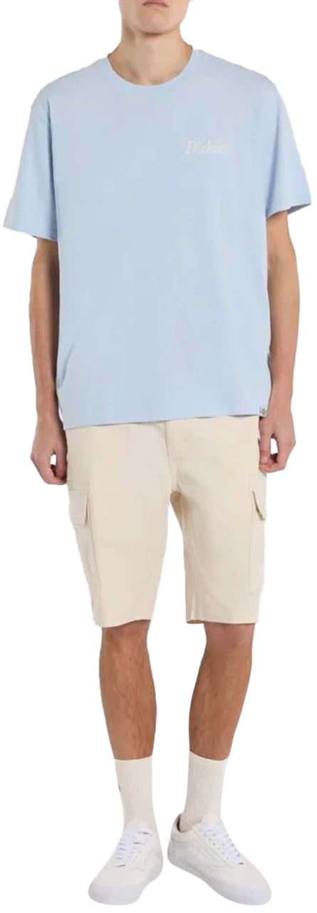Dickies Dickies Companion Script T-shirt Lichtblauw Blauw