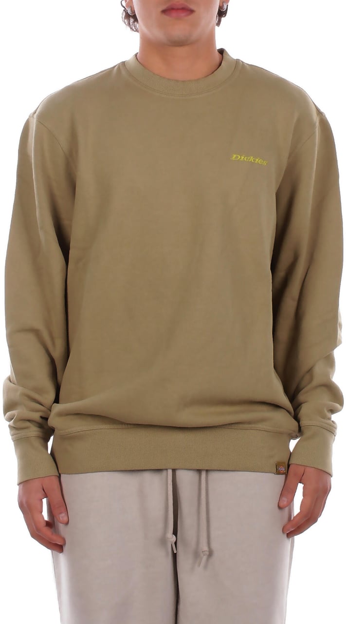 Dickies Sweaters Green Groen