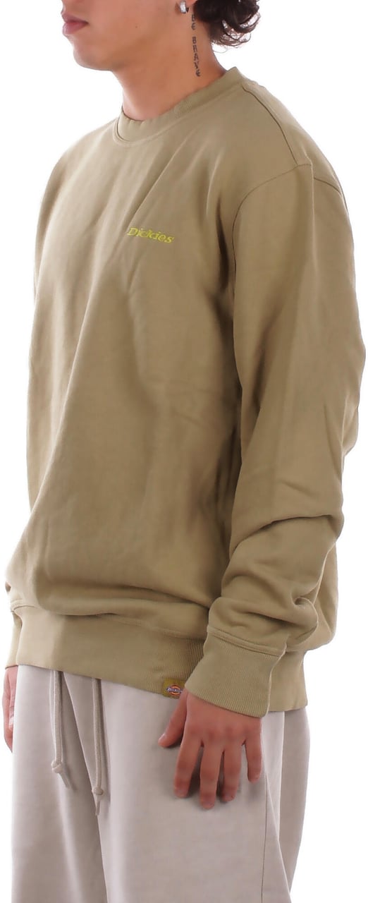 Dickies Sweaters Green Groen