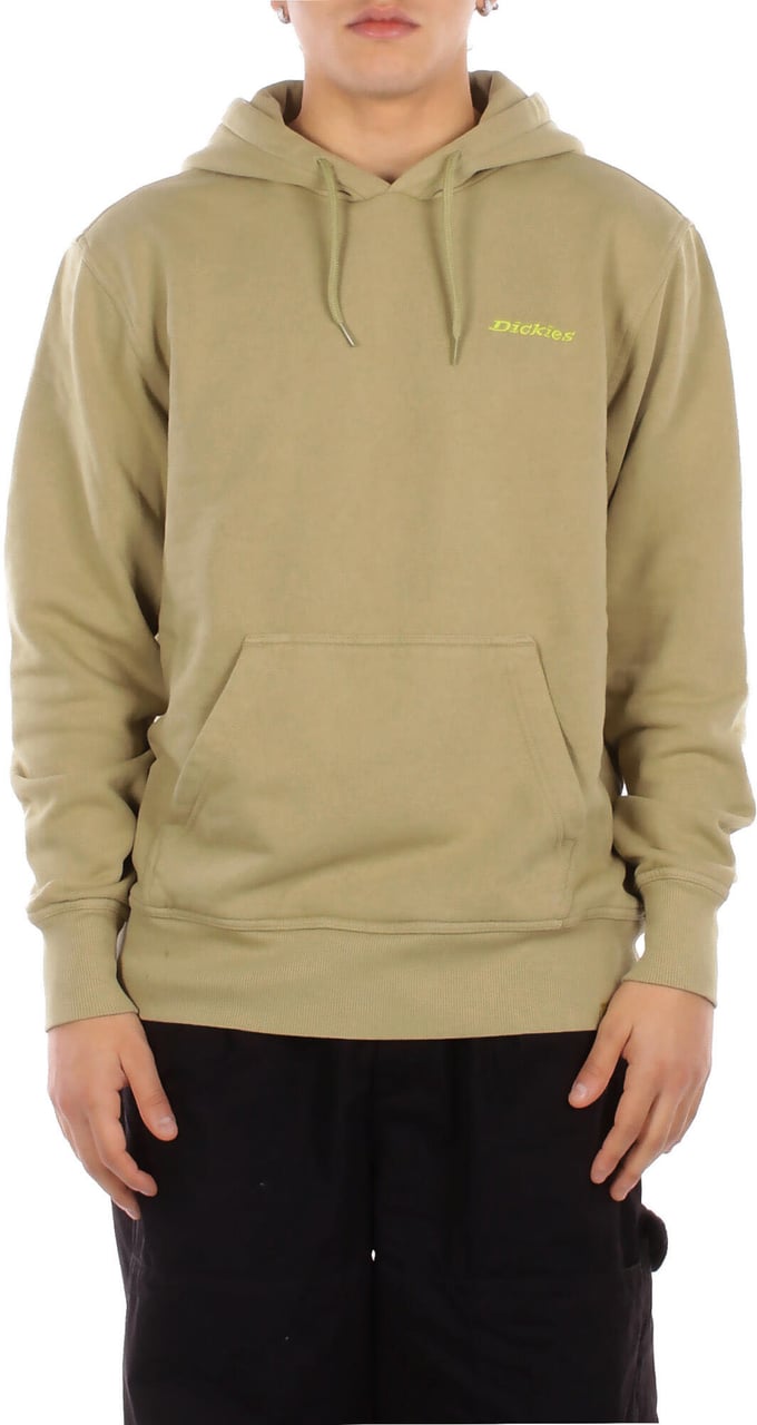 Dickies Sweaters Green Groen
