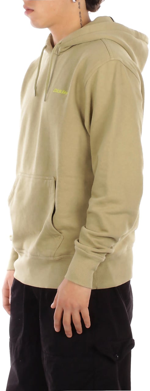 Dickies Sweaters Green Groen