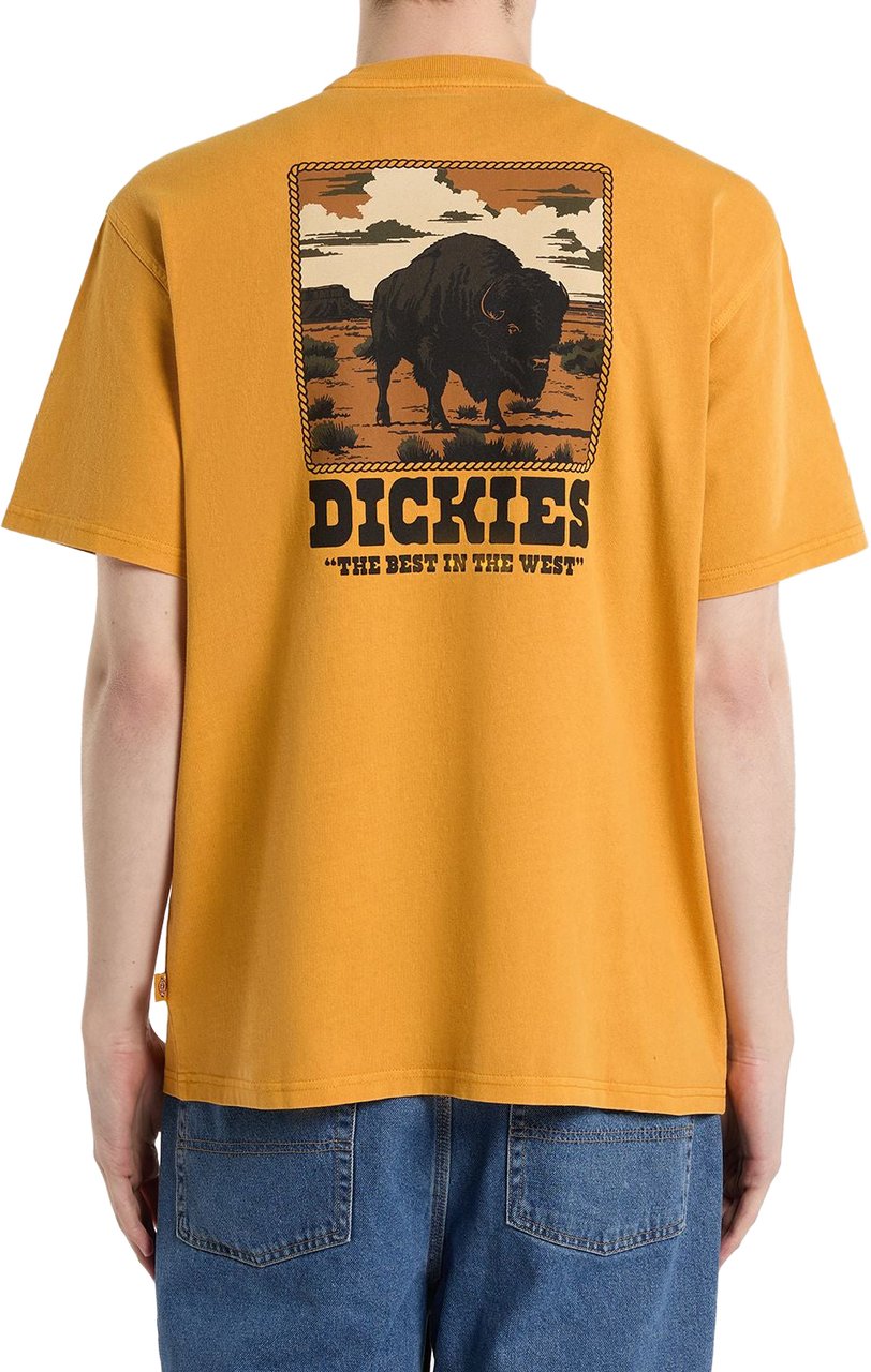 Dickies Dickies Darrtown SS T-shirt Sunflower Geel Geel