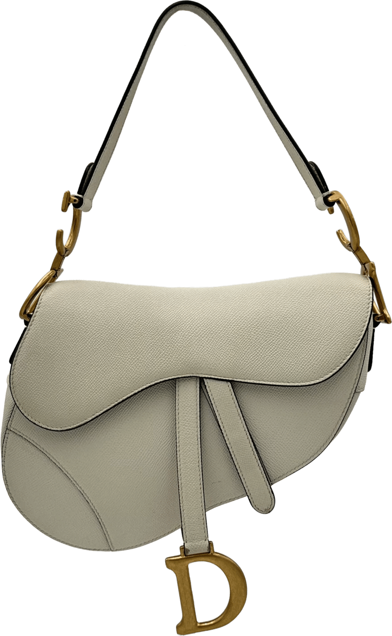 Dior Dior Saddlebag - Latte Beige