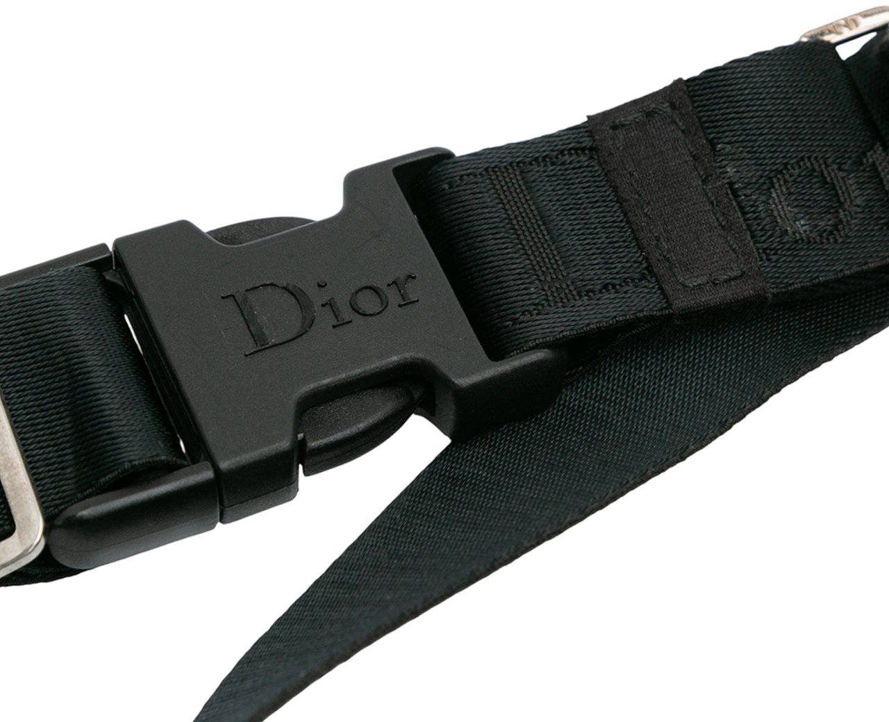 Dior Canvas Printed Denim Crossbody Blauw