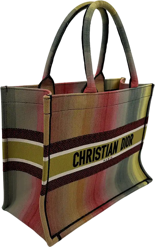 Dior Dior Booktote medium size Mulicolor Dioraura / very good Divers