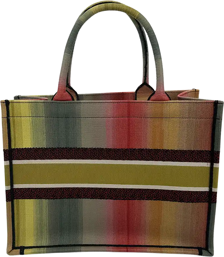 Dior Dior Booktote medium size Mulicolor Dioraura / very good Divers