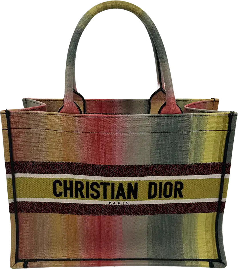 Dior Dior Booktote medium size Mulicolor Dioraura / very good Divers