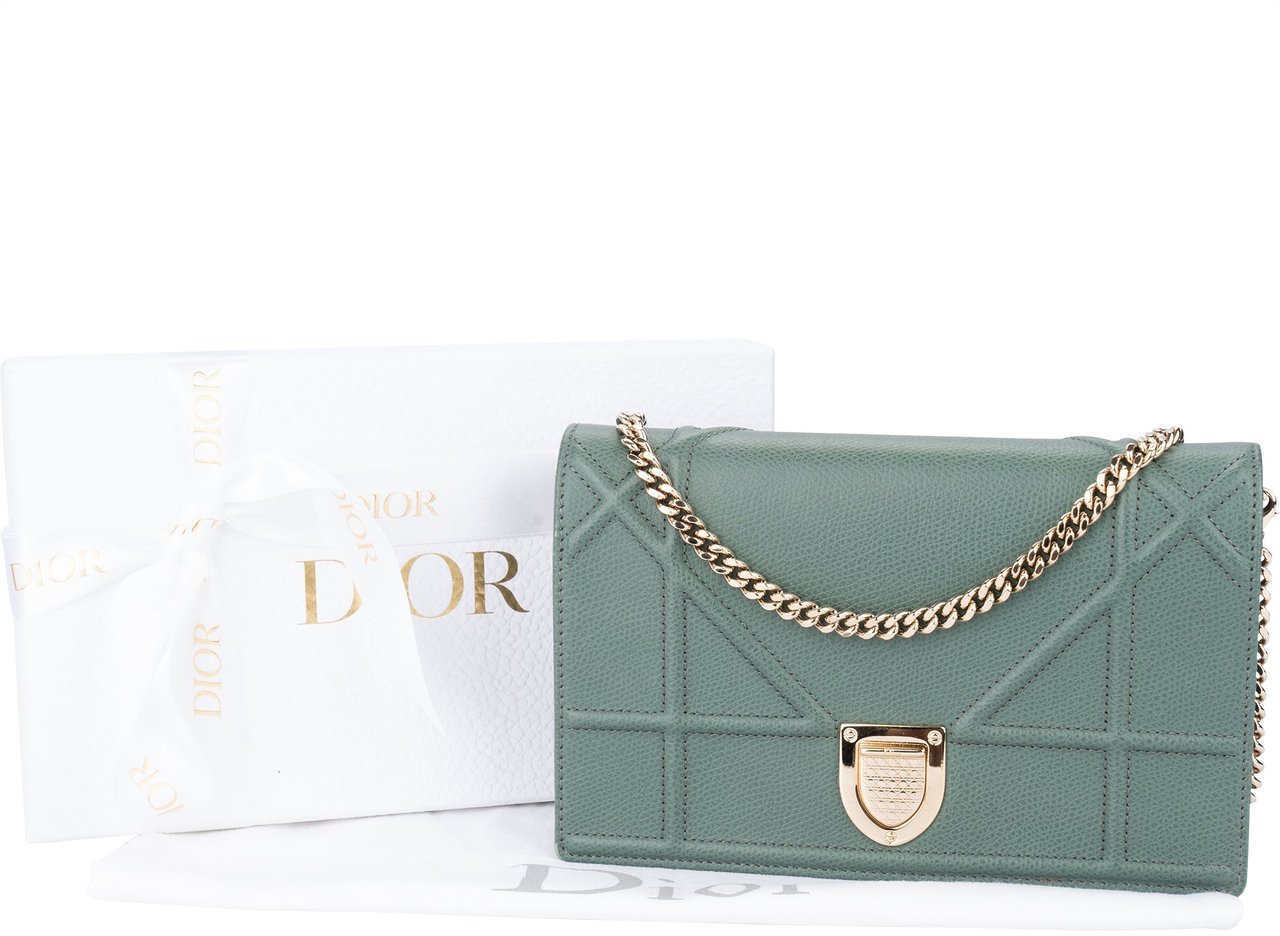 Dior Christian Dior Diorama Wallet On Chain Crossbody Bag Divers
