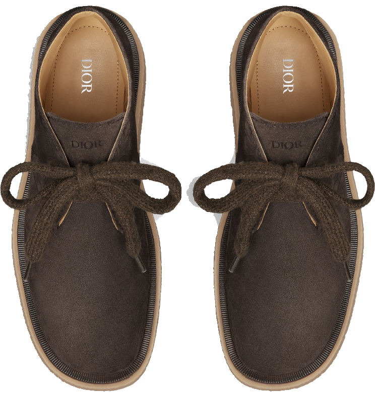 Dior Sahara Desert Boot Dark Brown Bruin