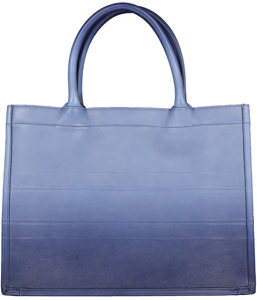 Dior Christian Dior Leather Medium Book Tote Bag Blauw