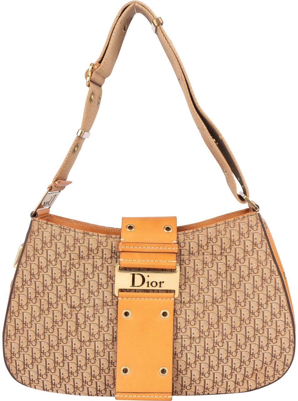 Dior Christian Dior Trotter Monogram Street Chic Shoulder Bag Divers