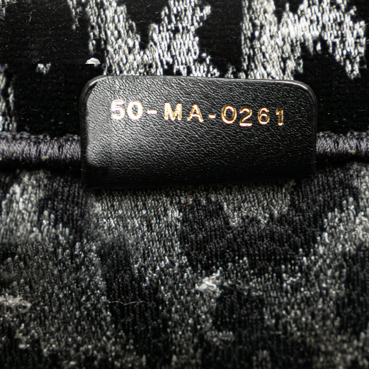 Dior Mizza Medium Embroidered Canvas Leopard Book Tote Zwart