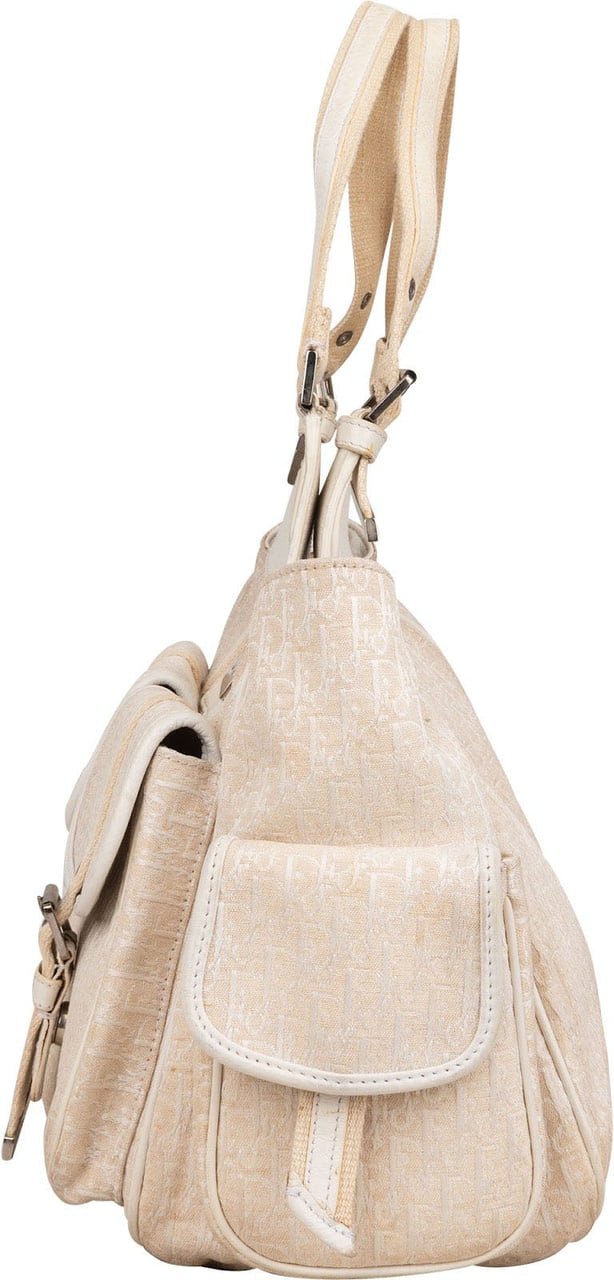 Dior Christian Dior Oblique Trotter Monogram Cargo Shoulder Bag Divers