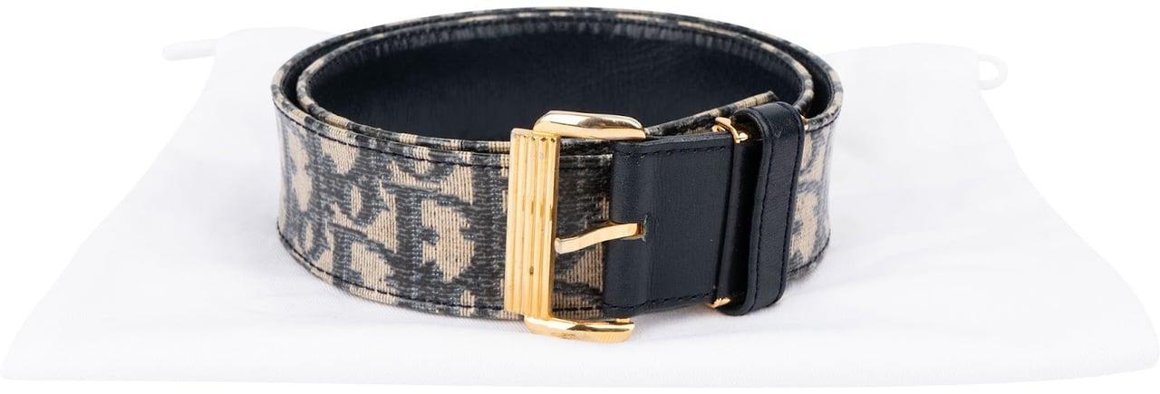 Dior Christian Dior Multicolor Leather Trotter Oblique Canvas Belt (75) Blauw