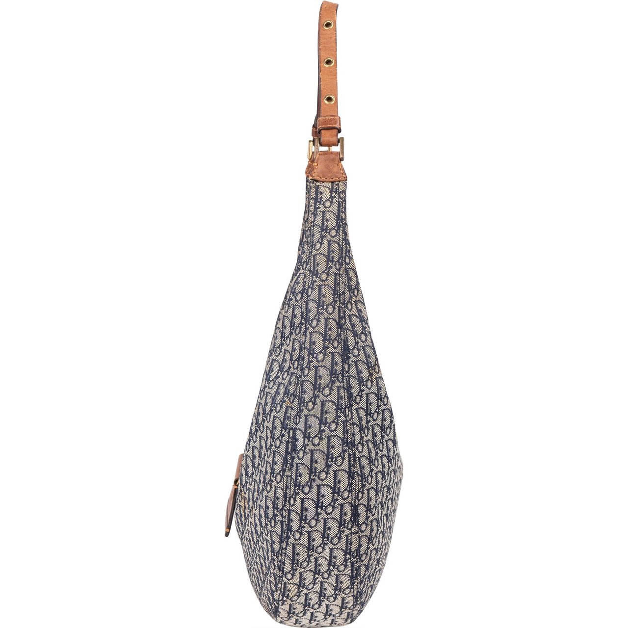 Dior Christian Dior Trotter Monogram Hobo Bag Blauw