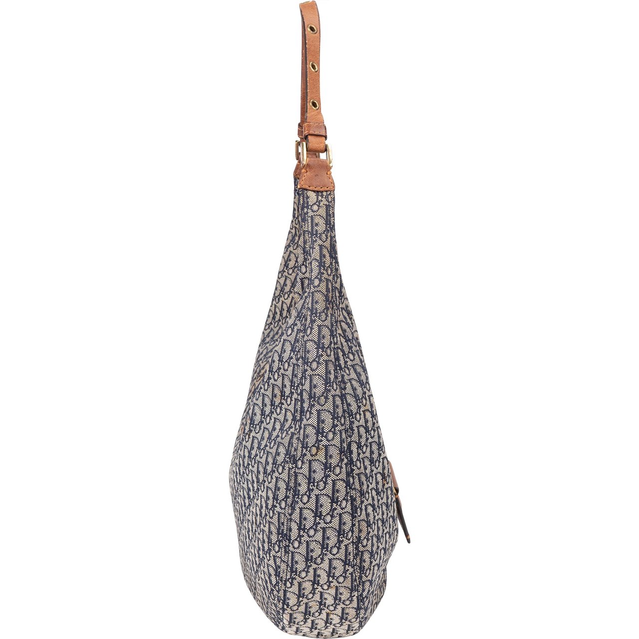 Dior Christian Dior Trotter Monogram Hobo Bag Blauw