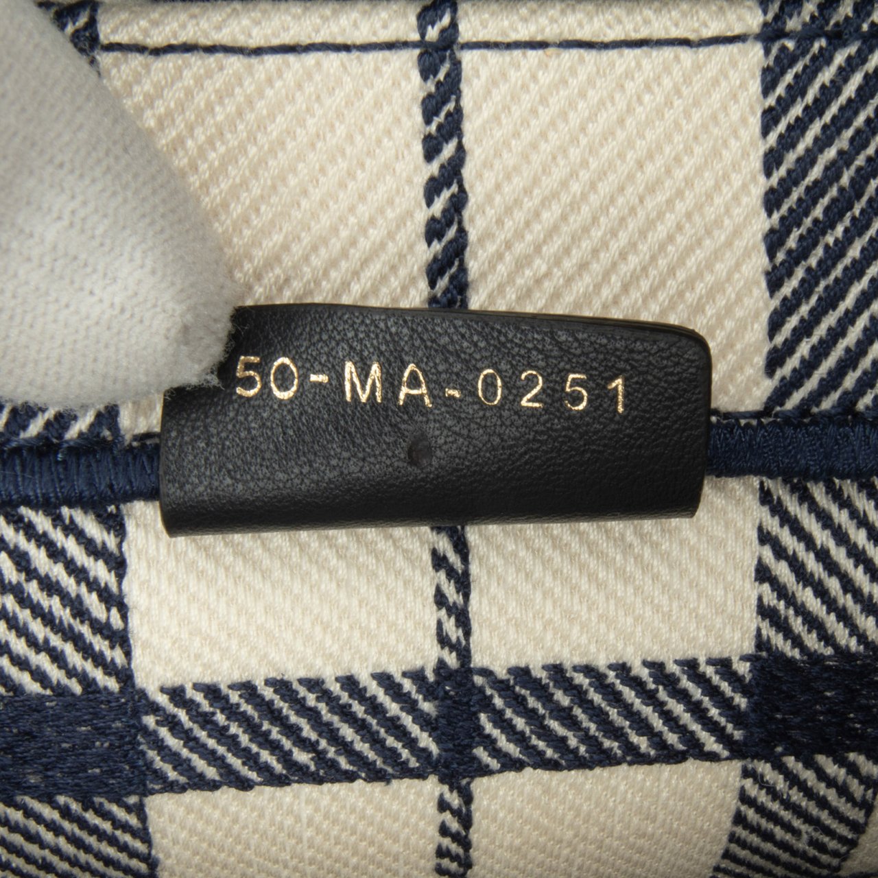 Dior Large Check n Dior Book Tote Blauw