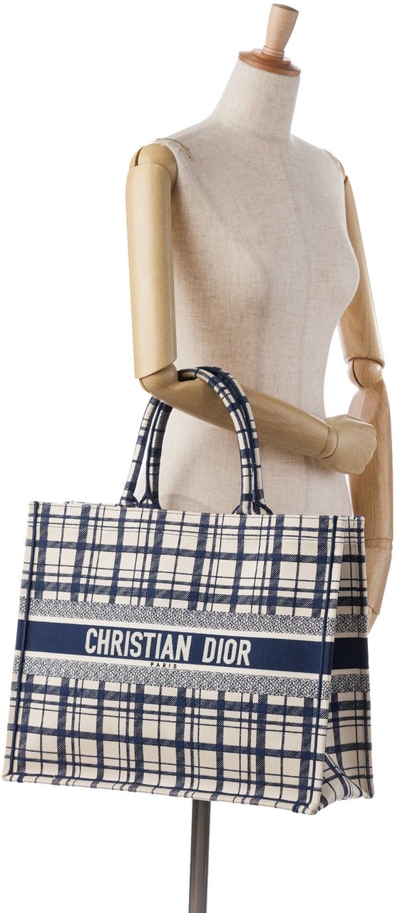 Dior Large Check n Dior Book Tote Blauw