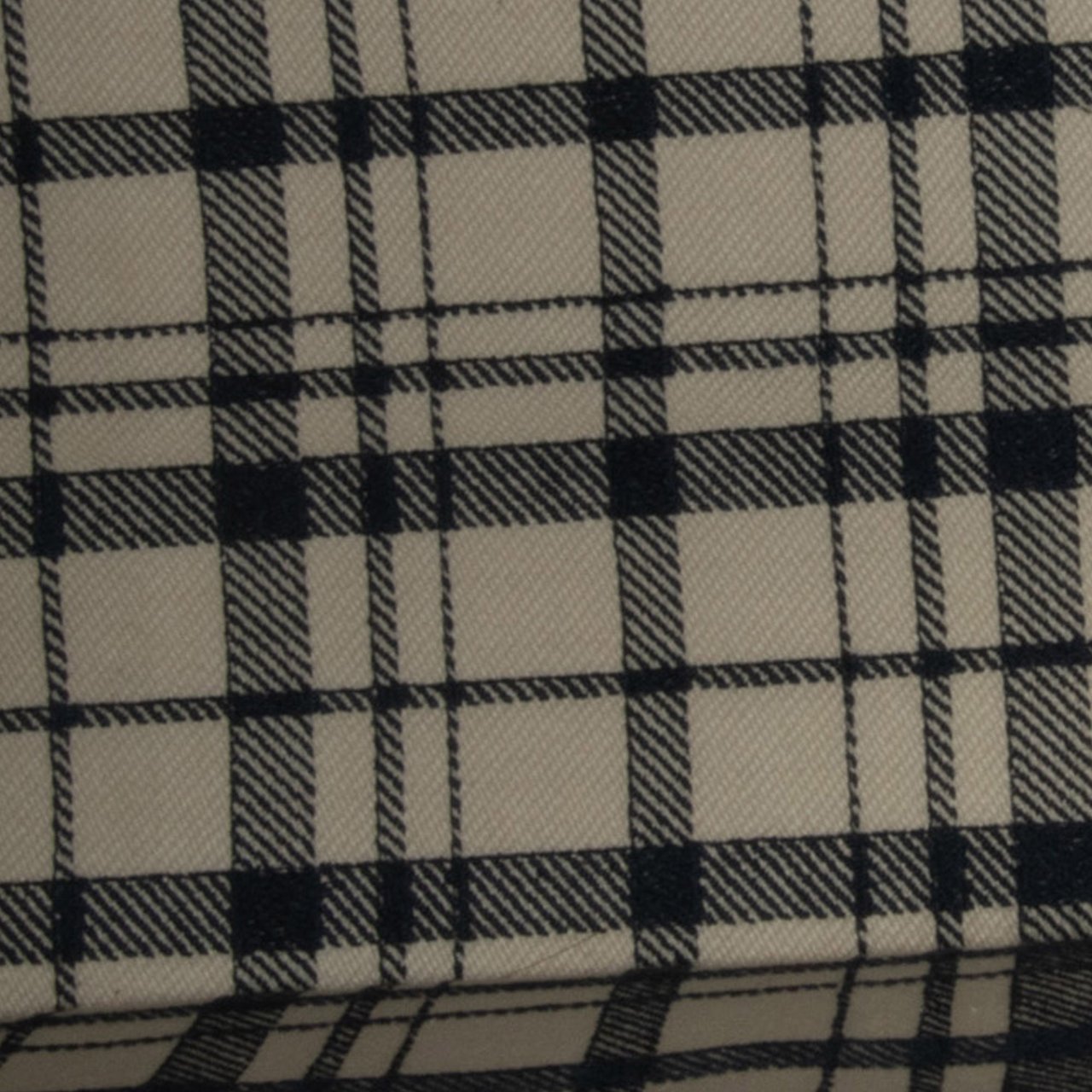 Dior Large Check n Dior Book Tote Blauw